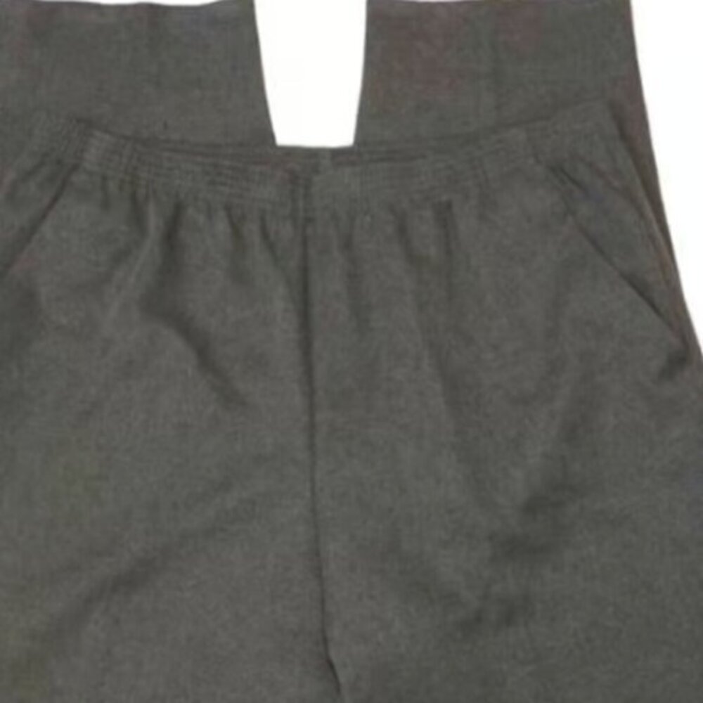 Women;s Briggs New York Pull On Pants Gray Size 16 EUC #3301
